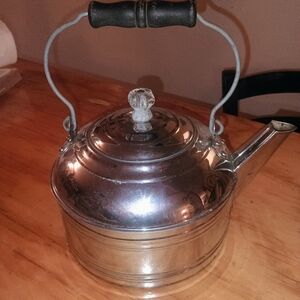 Elegant Silver Teapot with Black Handle